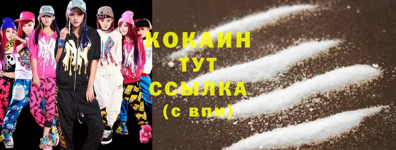 купить наркоту  Советская Гавань  Cocaine FishScale 